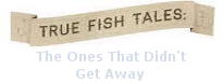 Fish Tales